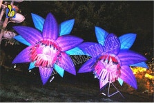Multi-color Led Lighting Inflatable Hanging Flower For Party Decoration C2009 C3011-2 - Bikidi Inflatables Co., Ltd. - ecplaza.net