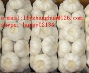 Red Garlic - Laiwu Lifengyuan Economic And Trade Co.,ltd