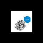 In Search of Silver (Remixes) by Nick Warren on Apple Music In Search of Silver (Remixes) by Nick Warren