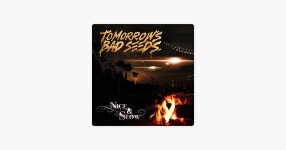 Nice & Slow by Tomorrows Bad Seeds — Song on Apple Music Nice & Slow by Tomorrows Bad Seeds