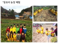 컨텐츠