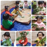 서울형 보육 > 서울형 모아어린이집 > 생태친화 실천사례 | 서울시 보육포털 서비스