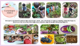 서울형 보육 > 서울형 모아어린이집 > 생태친화 실천사례 | 서울시 보육포털 서비스