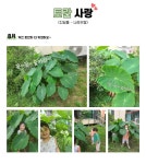 서울형 보육 > 서울형 모아어린이집 > 생태친화 실천사례 | 서울시 보육포털 서비스