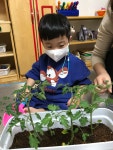 서울형 보육 > 서울형 모아어린이집 > 생태친화 실천사례 | 서울시 보육포털 서비스
