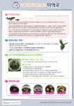 서울시 보육포털 사이트