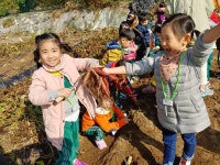 서울시 보육포털 사이트