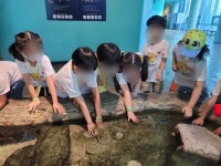 서울시 보육포털 사이트