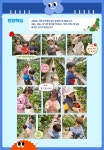 서울형 보육 > 서울형 모아어린이집 > 공유 사례 | 서울시 보육포털 서비스
