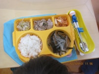 식단이미지