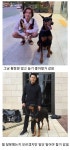 같은 개 다른 느낌 - 인스티즈(instiz) 이슈 카테고리 같은 개 다른 느낌