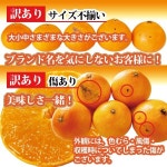紅まどんな規格外 あいか ５kg S〜２Lサイズ 大きさおまかせ 訳あり・ご家庭用 フルーツ 愛媛産 愛媛果試28号 送料無料 /【Buyee】 Buyee... 