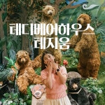 [제주] 테디베어하우스 테지움- KIDIKIDI