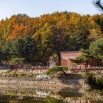 [설악밸리][10~12월] 패밀리 패키지 단독특가 (패밀리룸+조식+켄싱턴 치킨세트 외)- 이랜드몰
