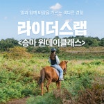 [제주] 라이더스랩 승마 원데이클래스- 이랜드몰