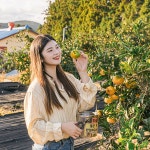 [제주] 제주 최남단 체험감귤농장- 이랜드몰