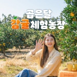 [제주] 제주 곱은달 체험감귤농장- 이랜드몰