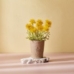 민들레 미니팟_옐로우_AF0223015- 이랜드몰