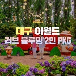 [대구] 이월드 러브 블루밍 2인 PKG (~06/30)- KIDIKIDI