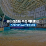 [강원] 롯데리조트속초 워터파크 종일권 (~3/3)- 이랜드몰