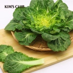 [산지직송] 두쫀쿠 보다 귀한 한끼 국내산 봄동 500g- 이랜드몰