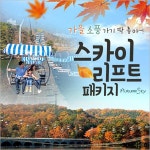 서울랜드/서울대공원 리프트+서울동물원 입장권- 이랜드몰