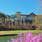 용평리조트 (강원도/용평/피크아일랜드)- 이랜드몰