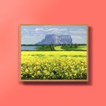 캔버스액자 유화그림 유채꽃그림 성산일출봉 10호- 이랜드몰