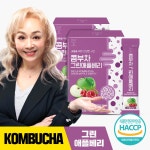 [참앤들황토농원]데이앤 콤부차 그린애플베리 유산균 분말스틱 30포×2박스- 이랜드몰