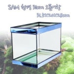 피쉬박스 청경 31cm 어항- 이랜드몰