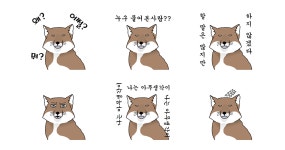 도도한여우의축산 - 이천시 오천로 41 | 시크도도한 티벳여우