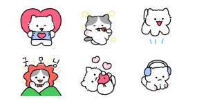 복실복실 냥냥이
