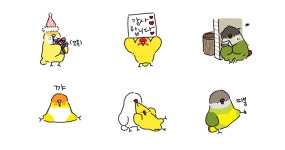 뭇찌 귀여워 앵무칭구들