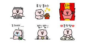 개강한 돼지 꾸리