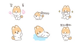 귀염뽀짝 똥꼬발랄 코리!