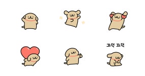 안녕! 나는 아가 리트리버!