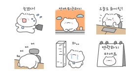 먐미의 직장생활