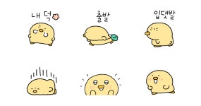 둥글당당 삐약이