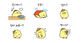 엄마찾는 응애닭