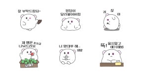 뭐지? 은은하게 열받는 곰