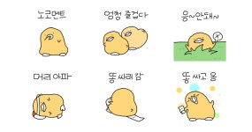 애기 삐약이 삐약삐약