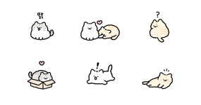 보송보송 아기 솜털 고양이