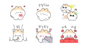 토끼를 닮은 짜리몽땅 냥이 금자씨