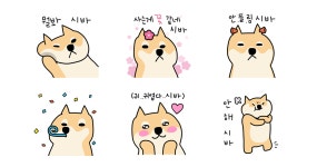 왔다! 뭘봐 시바