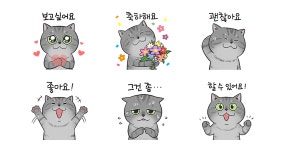 순둥순둥 포비씨