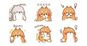 스윗하개 뚠뚠시바 유타
