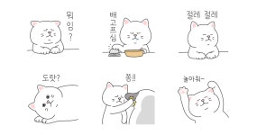 우리집 도도냥