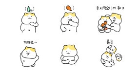 아주 쵸쿰 곤방진 냥아치냥