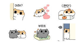 냥글냥글 쫑이와 챙이