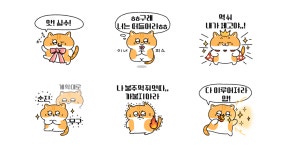 초롱초롱 나는 아기고양이 쪼고예요!